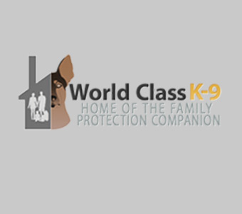 Protection dog training