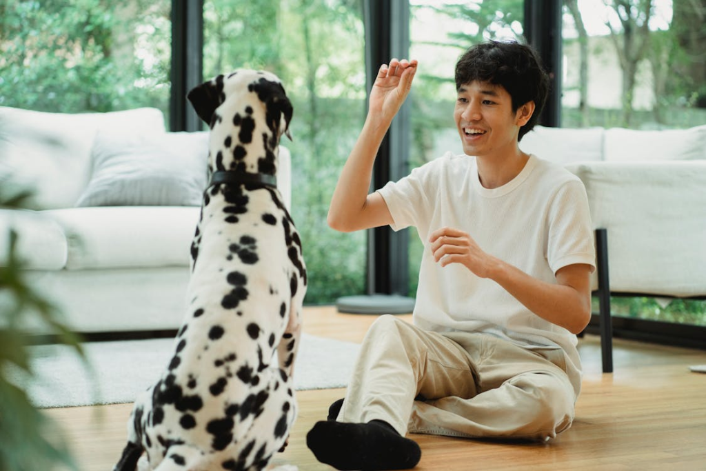 Benefits of In-Home Dog Training for Busy Families Across Metro Atlanta