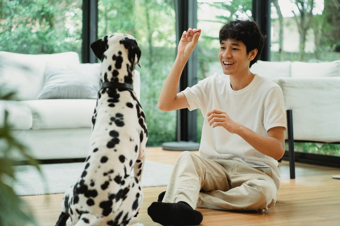 Benefits of In-Home Dog Training for Busy Families Across Metro Atlanta