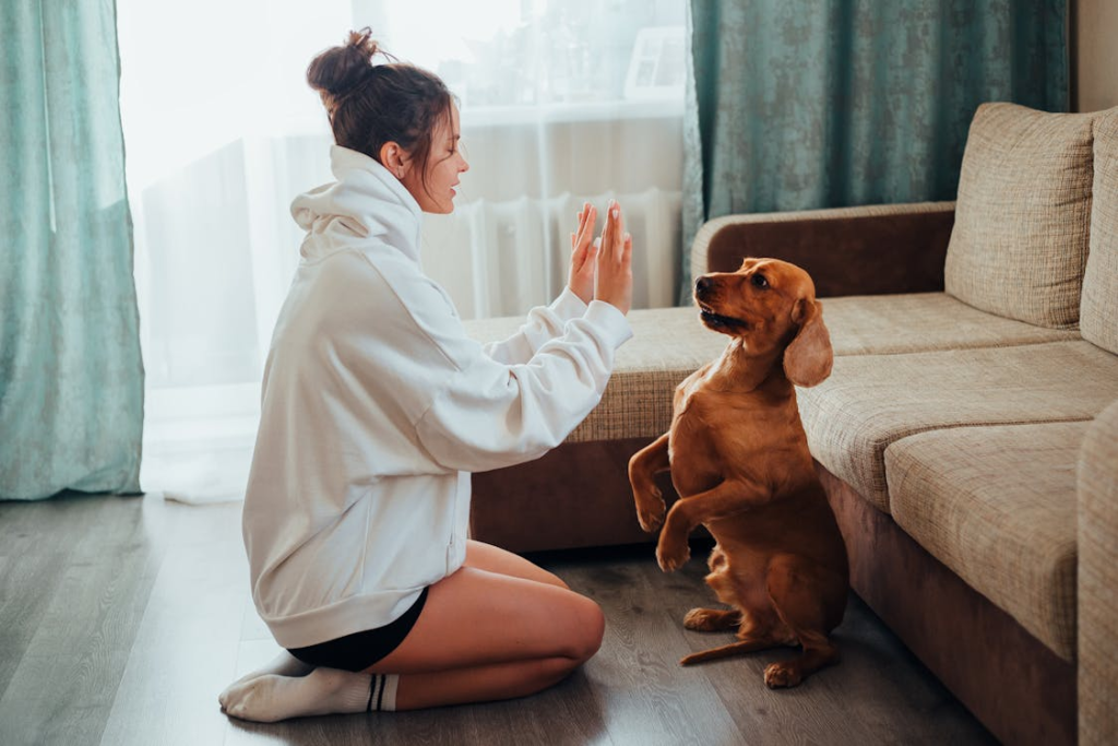 This photo shows a woman teaching her dog tricks.