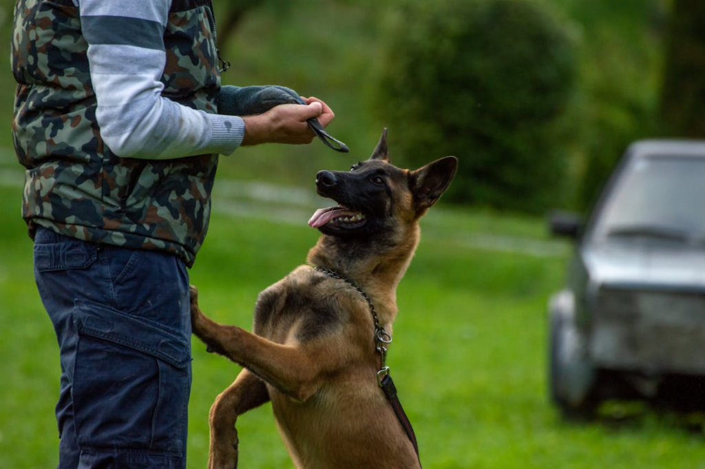 This photo shows a man with a dog.