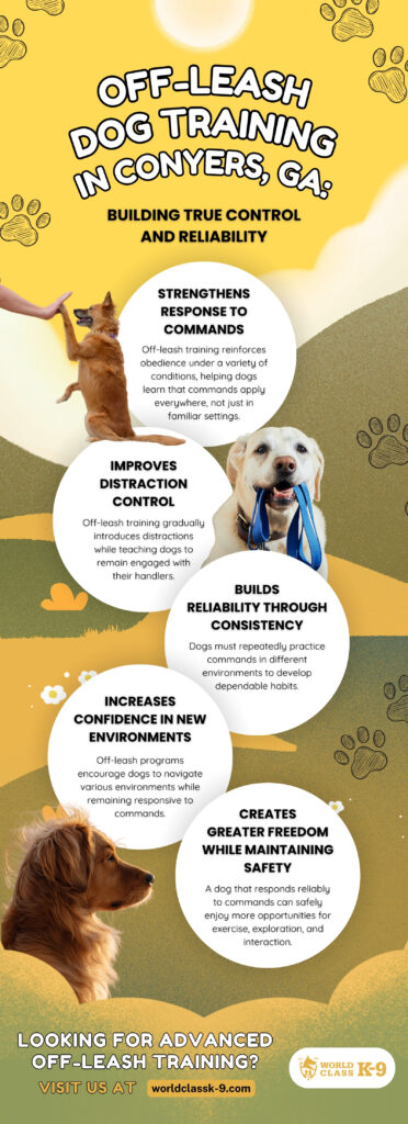Infographic about off-leash dog training in Conyers, GA, explaining how professional obedience training strengthens command response, improves distraction control, builds consistency, increases confidence in new environments, and creates greater freedom while maintaining safety.
