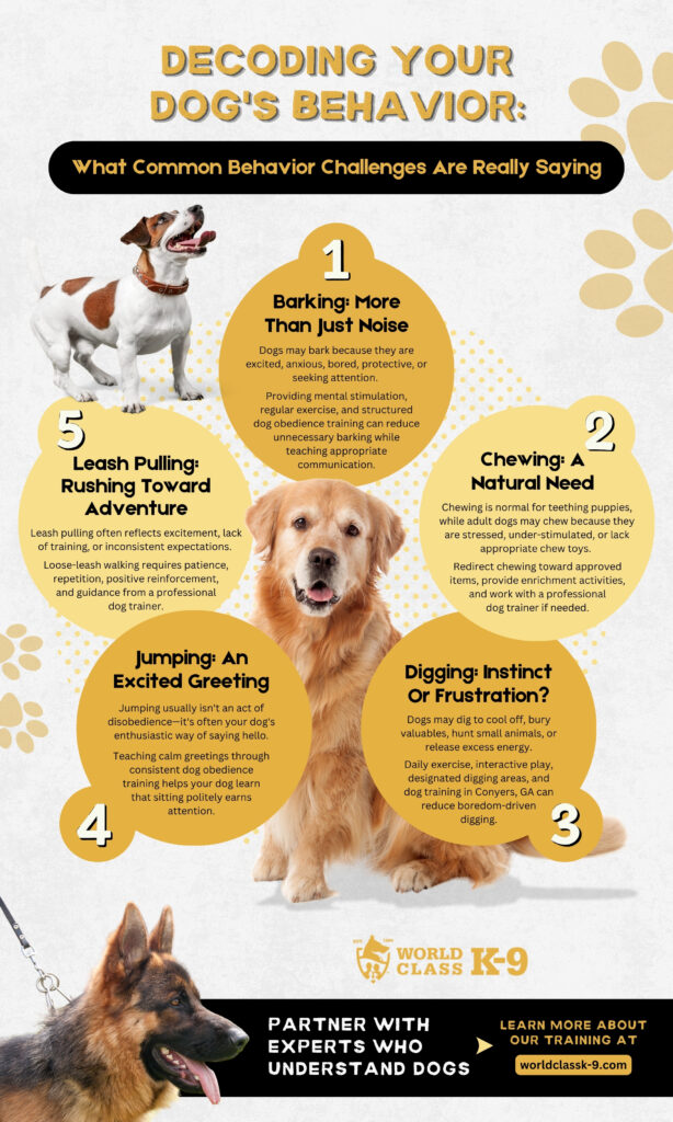 Infographic explaining common dog behavior challenges, including barking, chewing, digging, jumping, and leash pulling, with training guidance from World Class K-9. Features illustrated dogs and practical tips to help owners better understand canine communication and behavior.