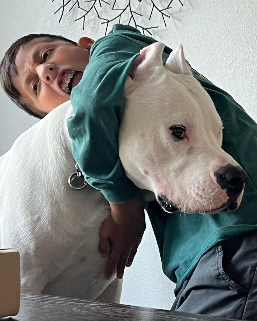 a dog playing with a child.