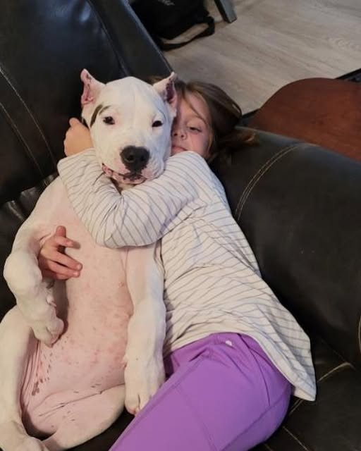 This photo shows a girl hugging a dog.
