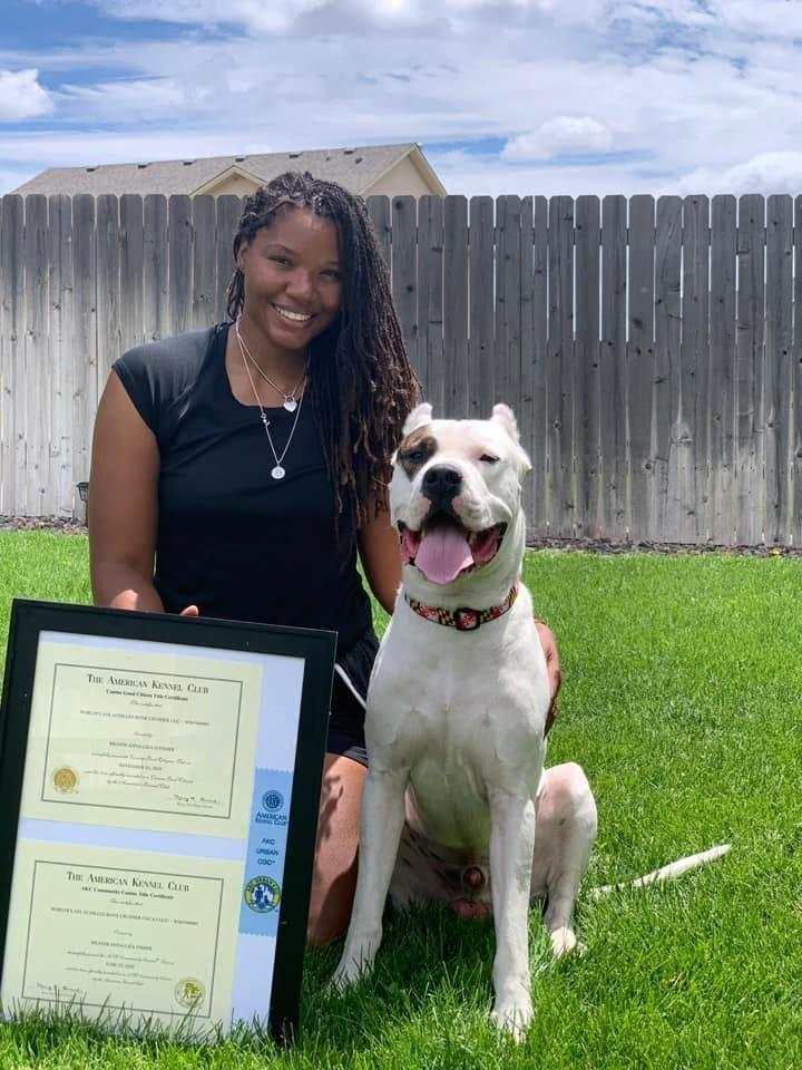 Mobile Dog Training in Metro Atlanta: How In-Home Sessions Speed Up Results