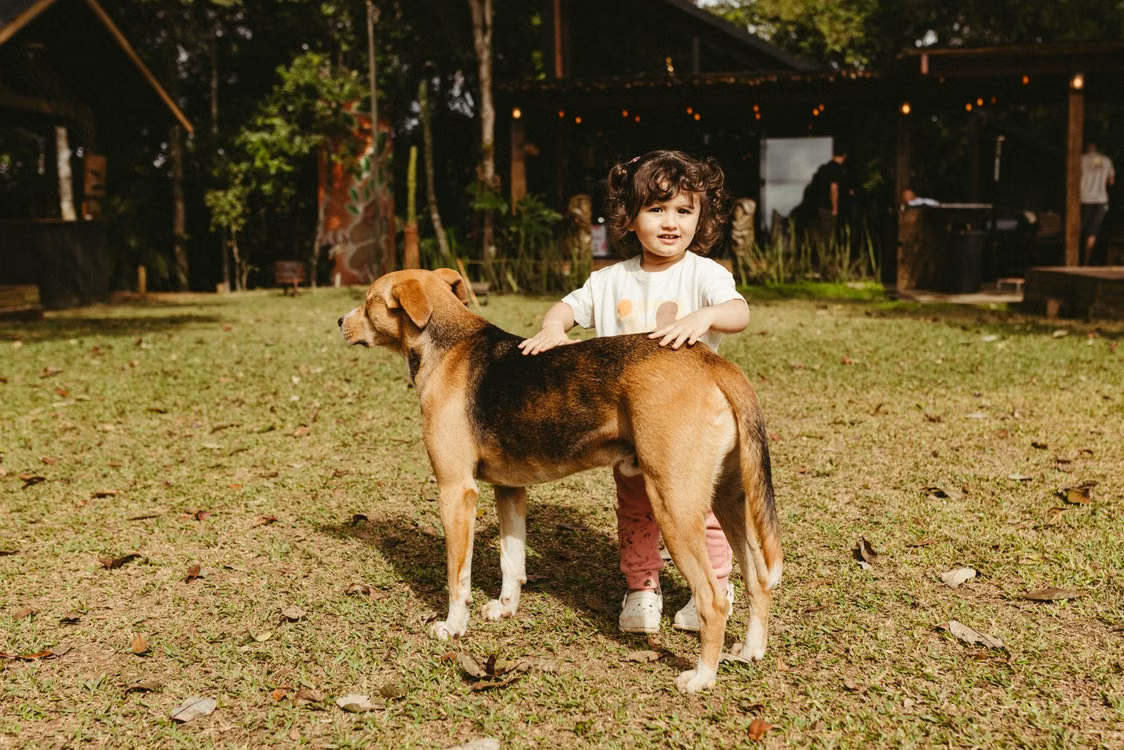Toddlers and Dogs: Practical Strategies for a Safe and Happy Relationship