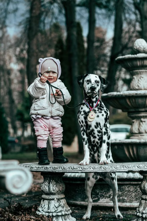 File name: toddler-standing-with-dog
Alt-text: a toddler standing with their dog.
Caption: A happy bond starts with safe boundaries! Learn practical ways to help toddlers and dogs build a positive, respectful relationship at home.