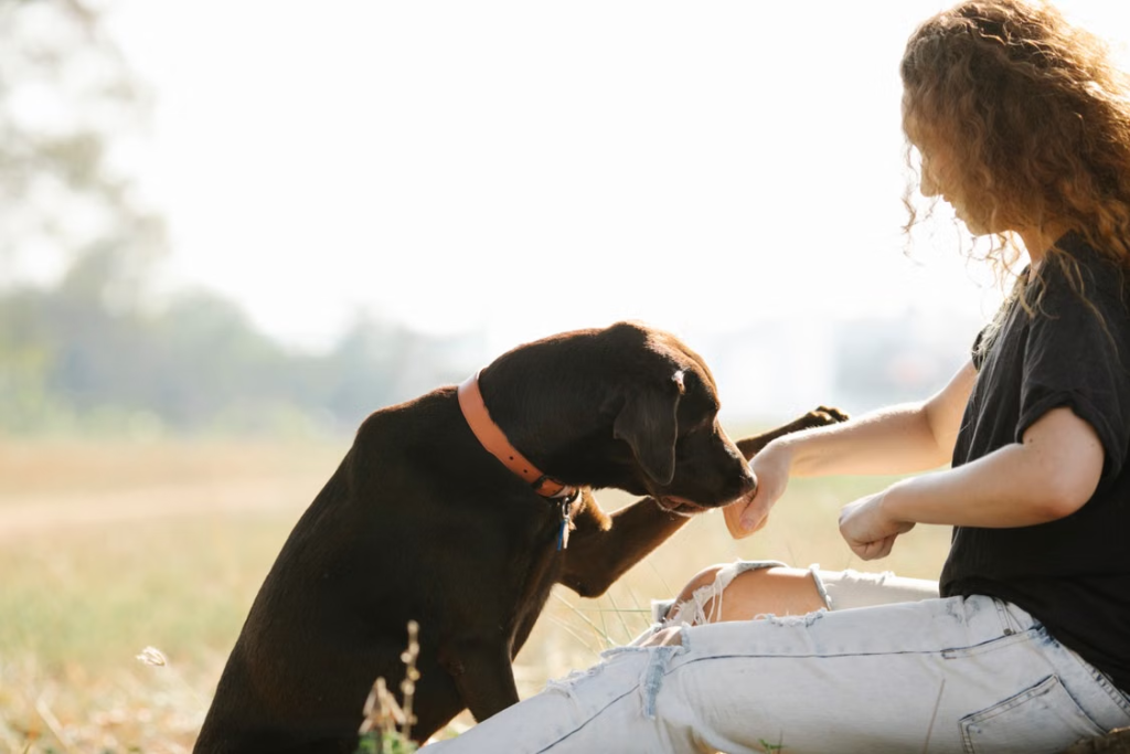a woman sitting with a dog outdoors.