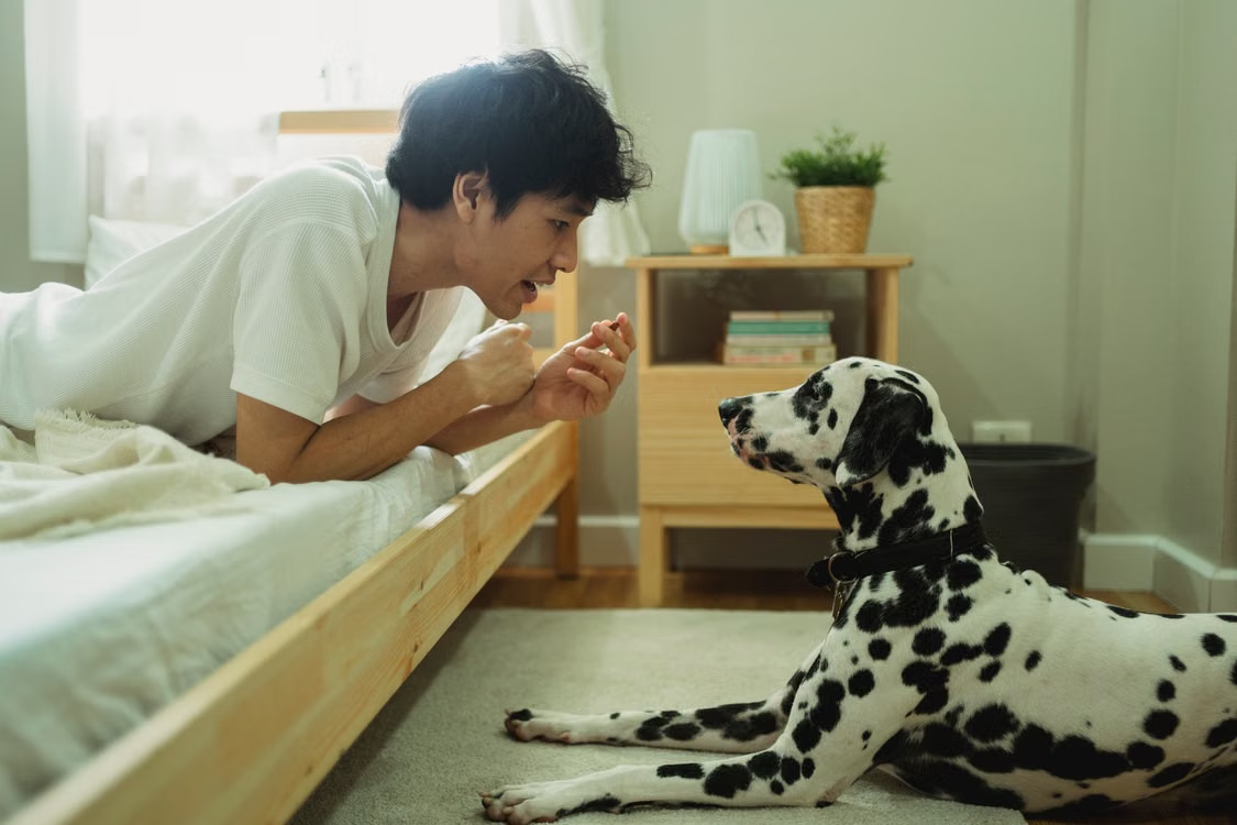 7 Dog Training Phrases You Should Stop Using (And What to Say Instead)